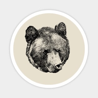 Brown bear portrait Magnet